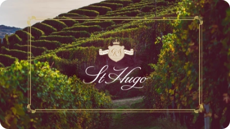 Salma Profile Salma Profile